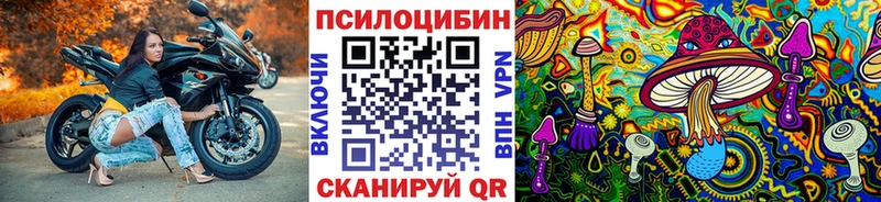 Галлюциногенные грибы мицелий  Купить где  Киренск 