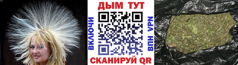 Купить  Киренск  Каннабис тримм 